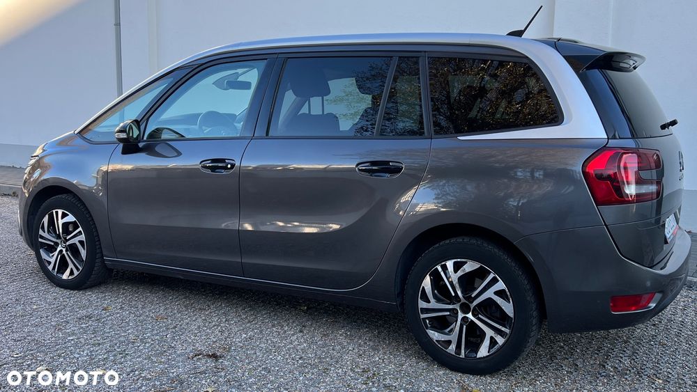Citroën C4 SpaceTourer 1.2 PureTech Rip Curl S&S - 11