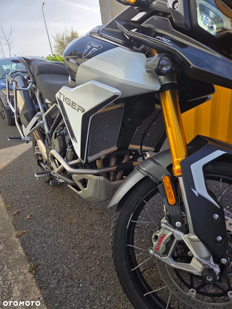 Triumph Tiger - 6