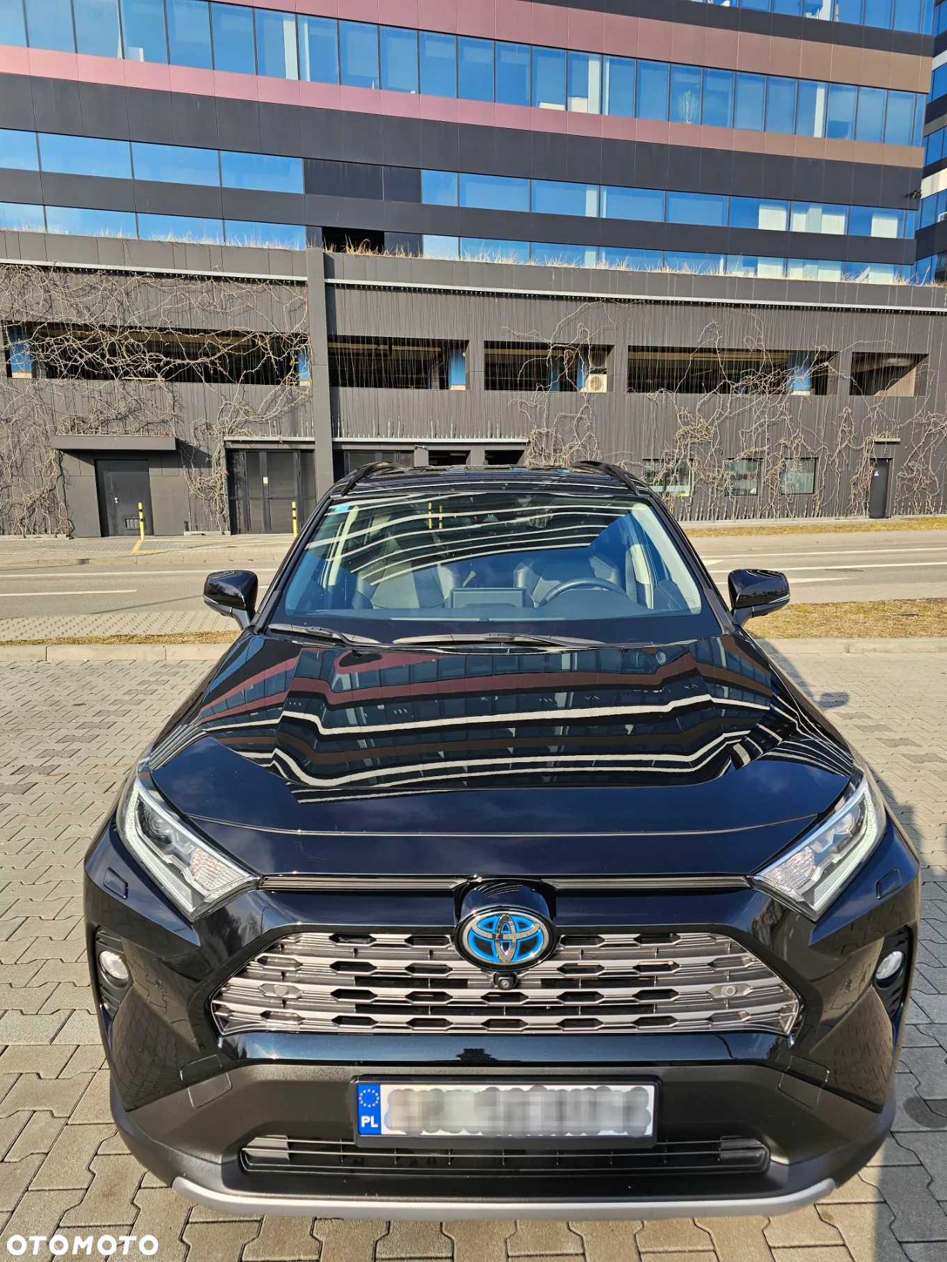 Toyota RAV4 2.5 Hybrid Executive 4x4 - 4
