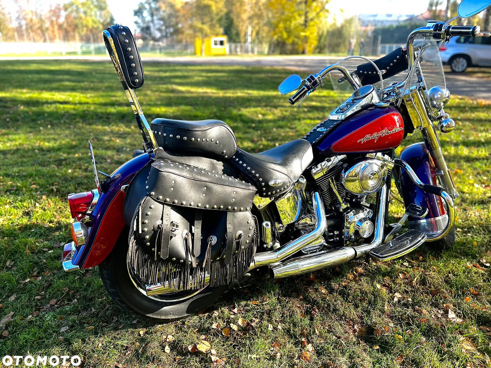 Harley-Davidson Softail - 12