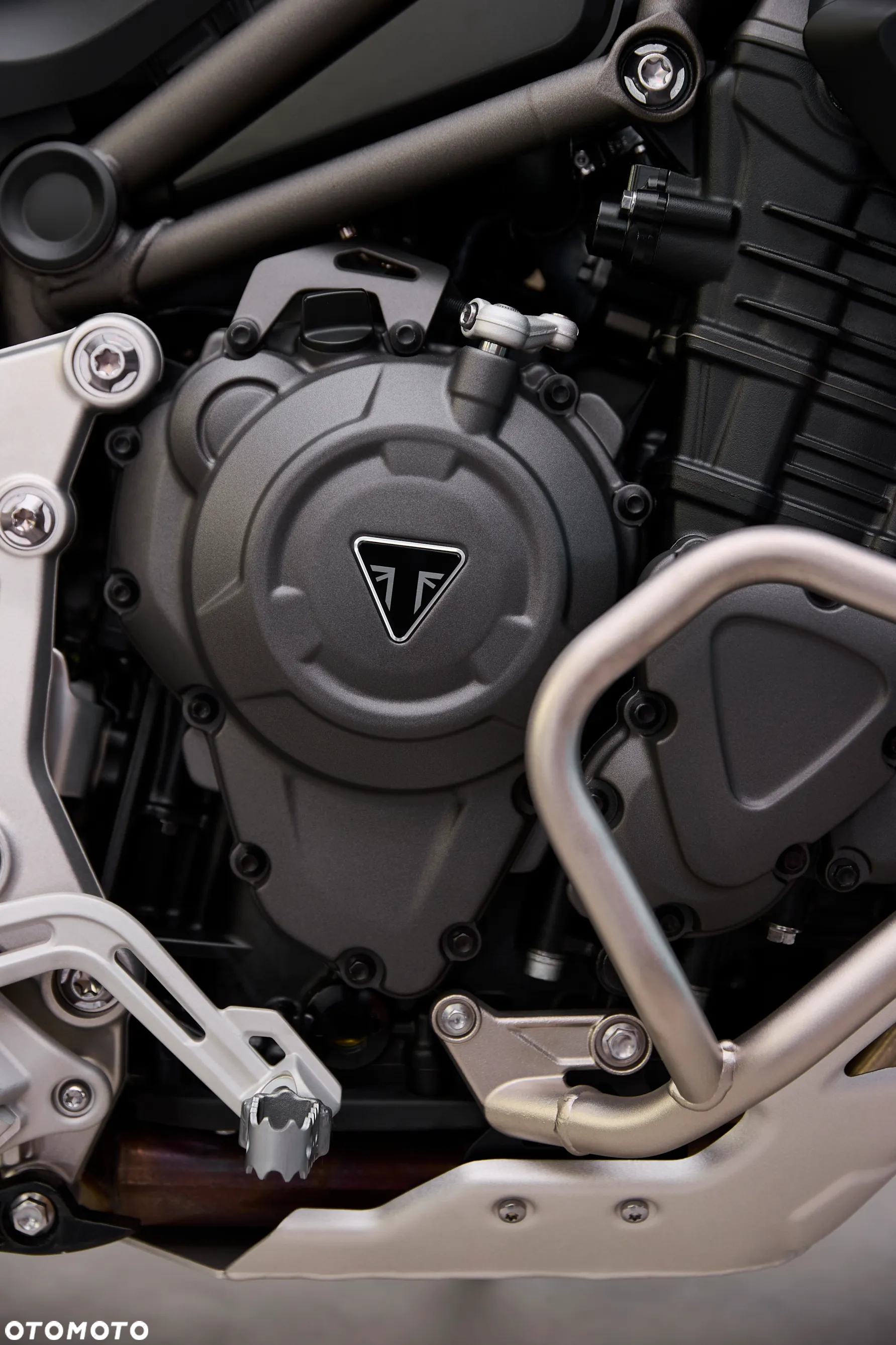 Triumph Tiger - 7