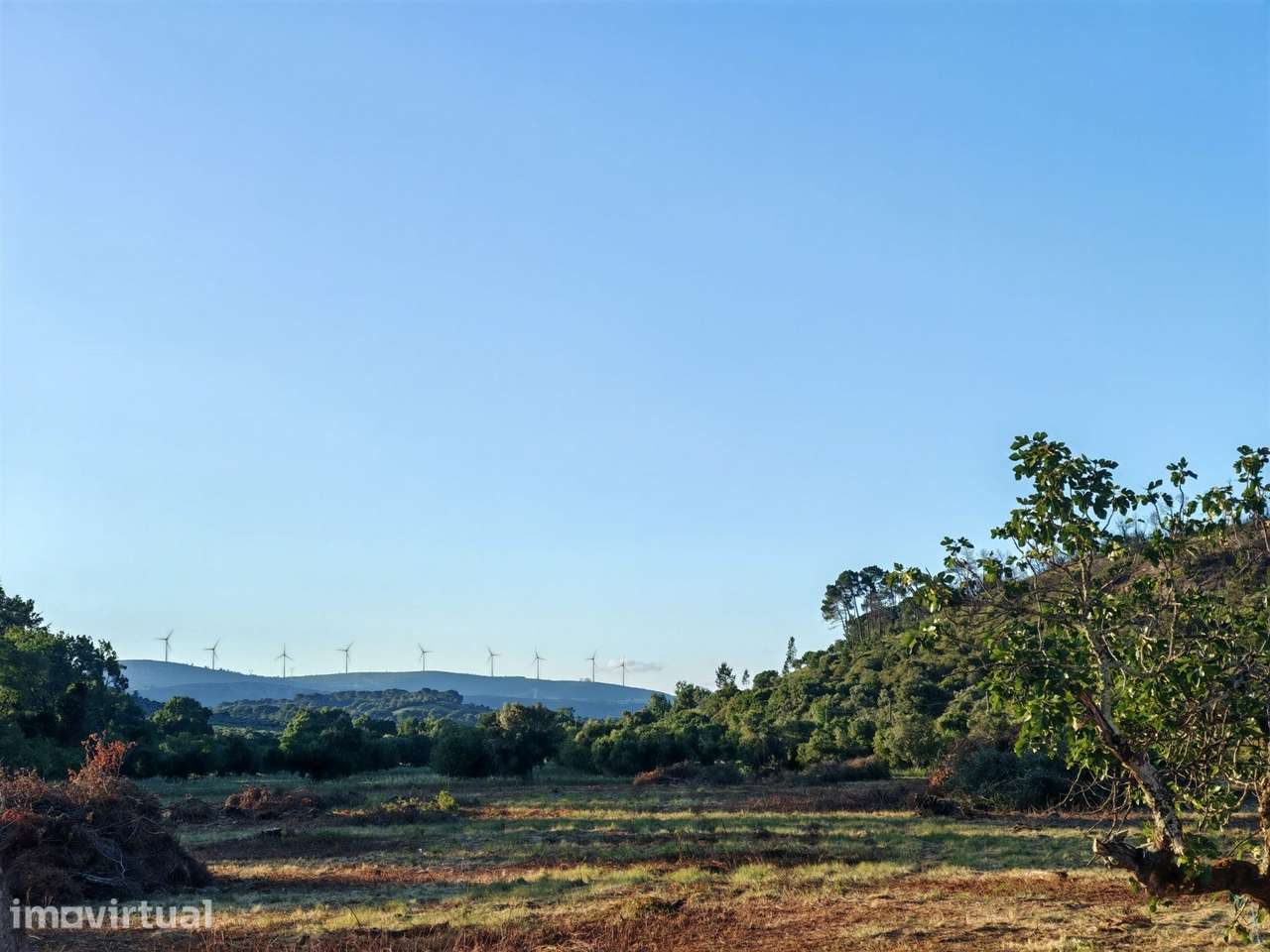 Quintinha T3 Venda em Torres Novas (São Pedro), Lapas e Ribeira Branca - Grande imagem: 4/24