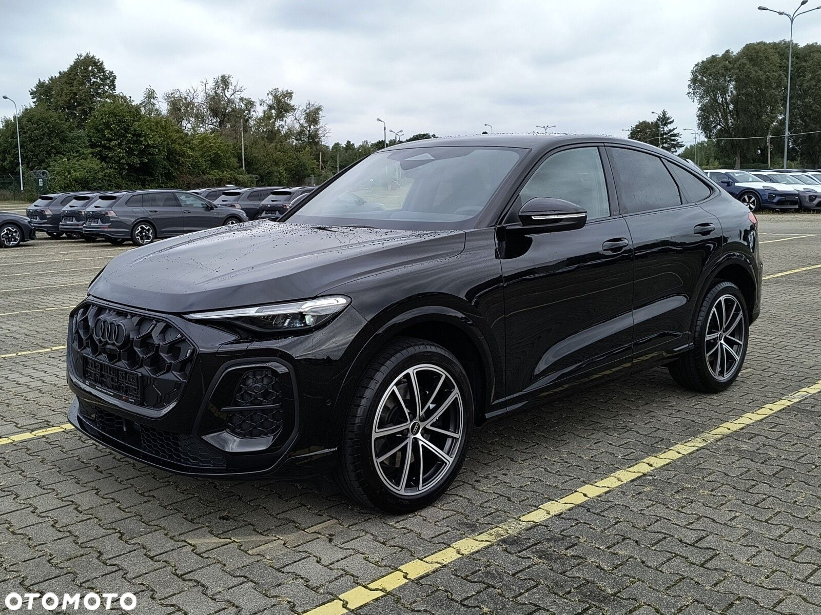 Audi SQ5 - 15