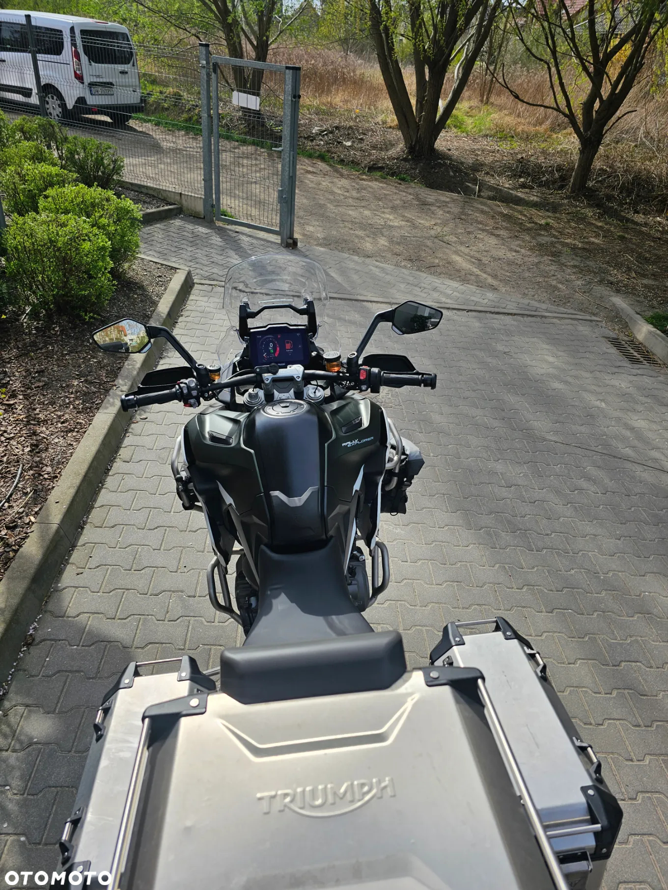 Triumph Tiger - 6