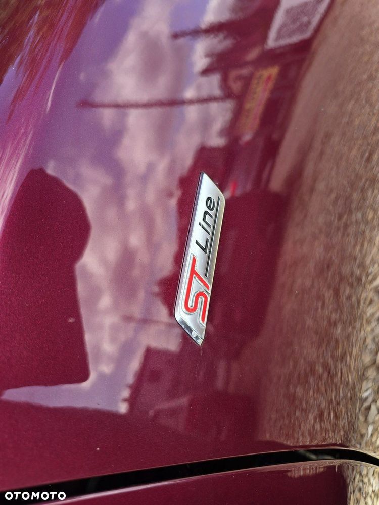 Ford Puma - 32