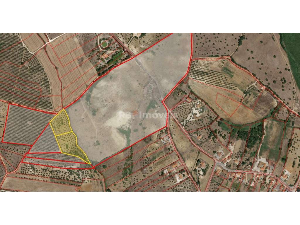 2 Terrenos Rústicos com área total de 14.320 m2, na freguesia de Br... - Grande imagem: 2/5