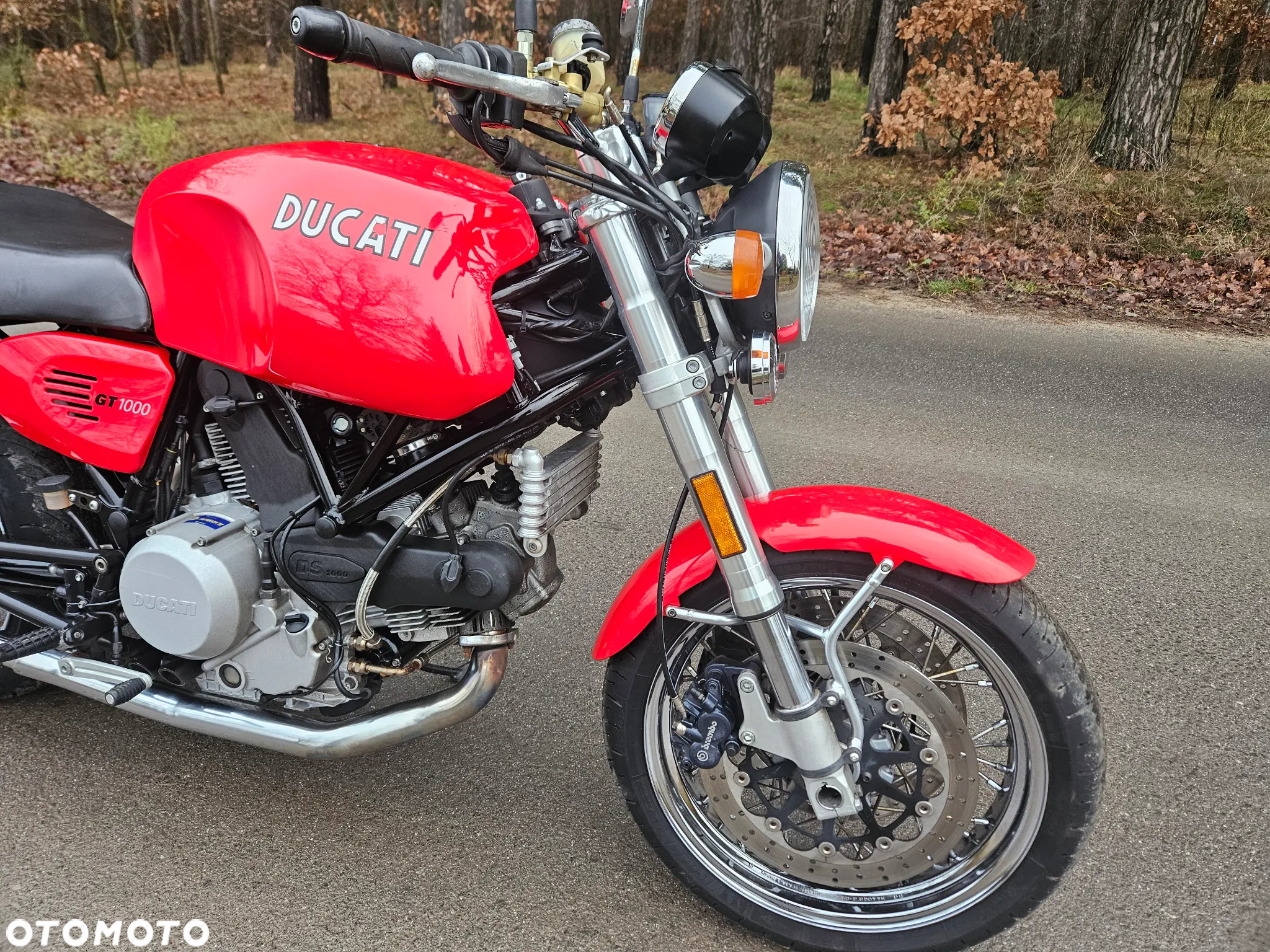 Ducati Sport Classic - 6