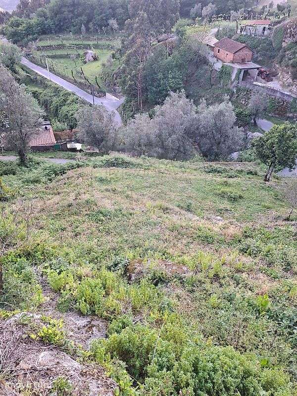 Terreno  para venda - Grande imagem: 4/5