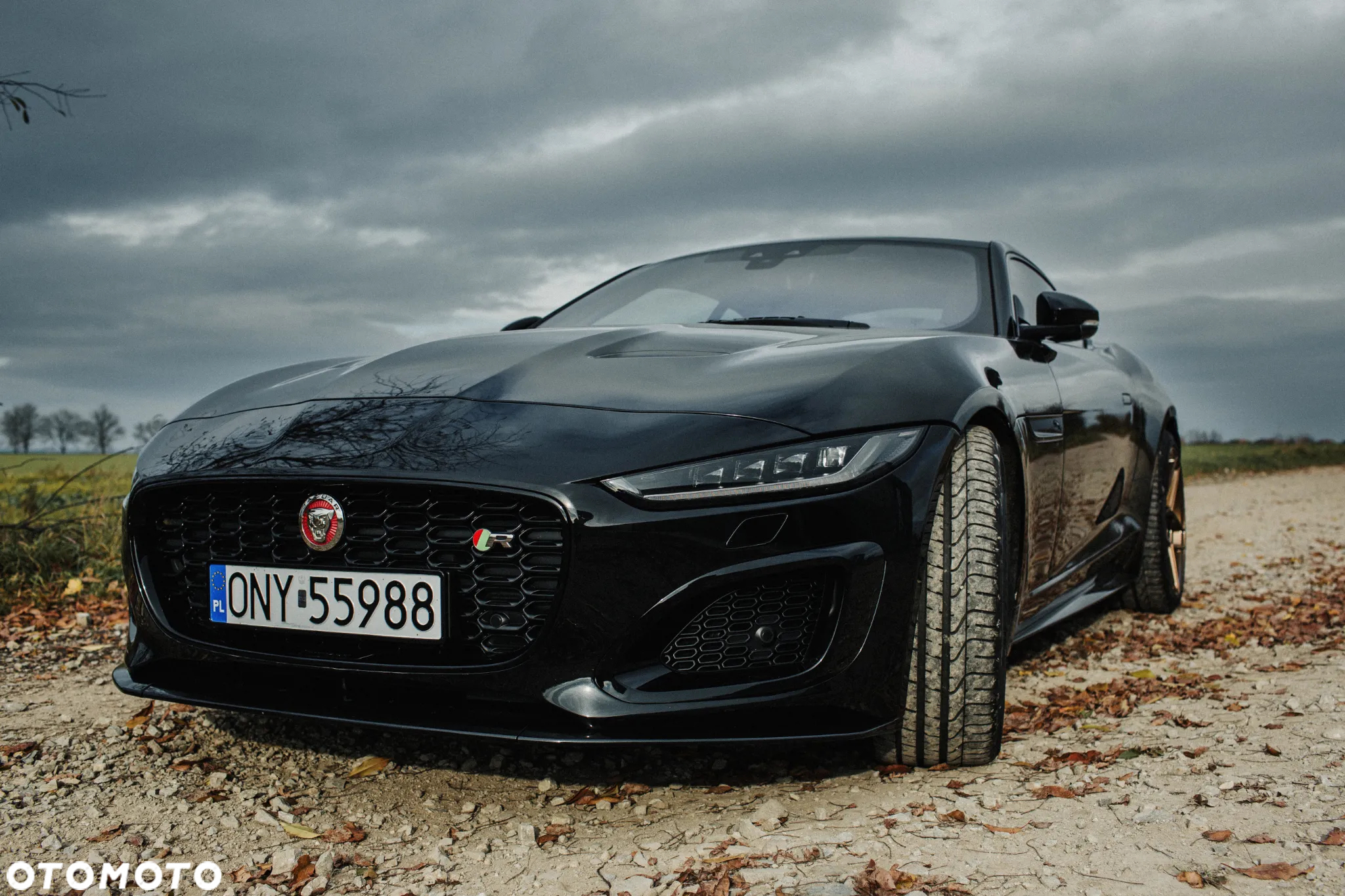 Jaguar F-Type 5.0 V8 S/C AWD R - 6