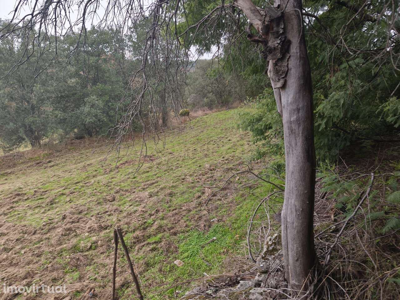 Terreno rustico com casa de Pedra - Grande imagem: 3/8