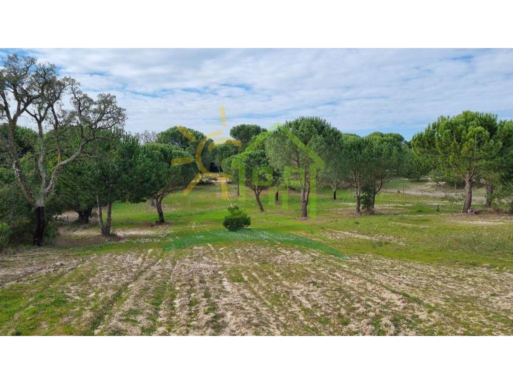 Terreno na Herdade Zambujeiro em Santo Estevão - Grande imagem: 5/12