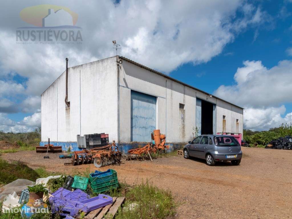 OPORTUNIDADE | Terreno com estufas e armazém para exploração agríco... - Grande imagem: 4/60