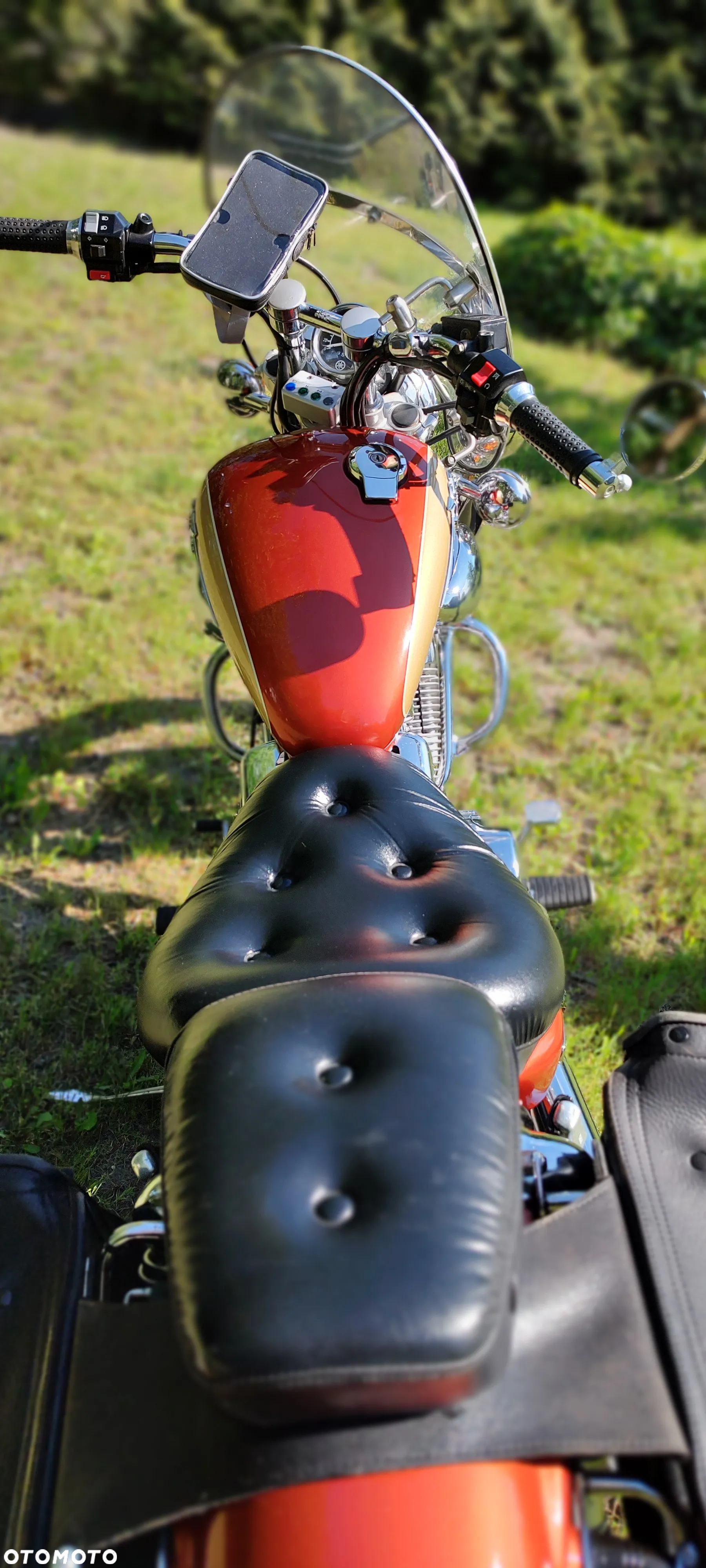 Yamaha Virago - 5