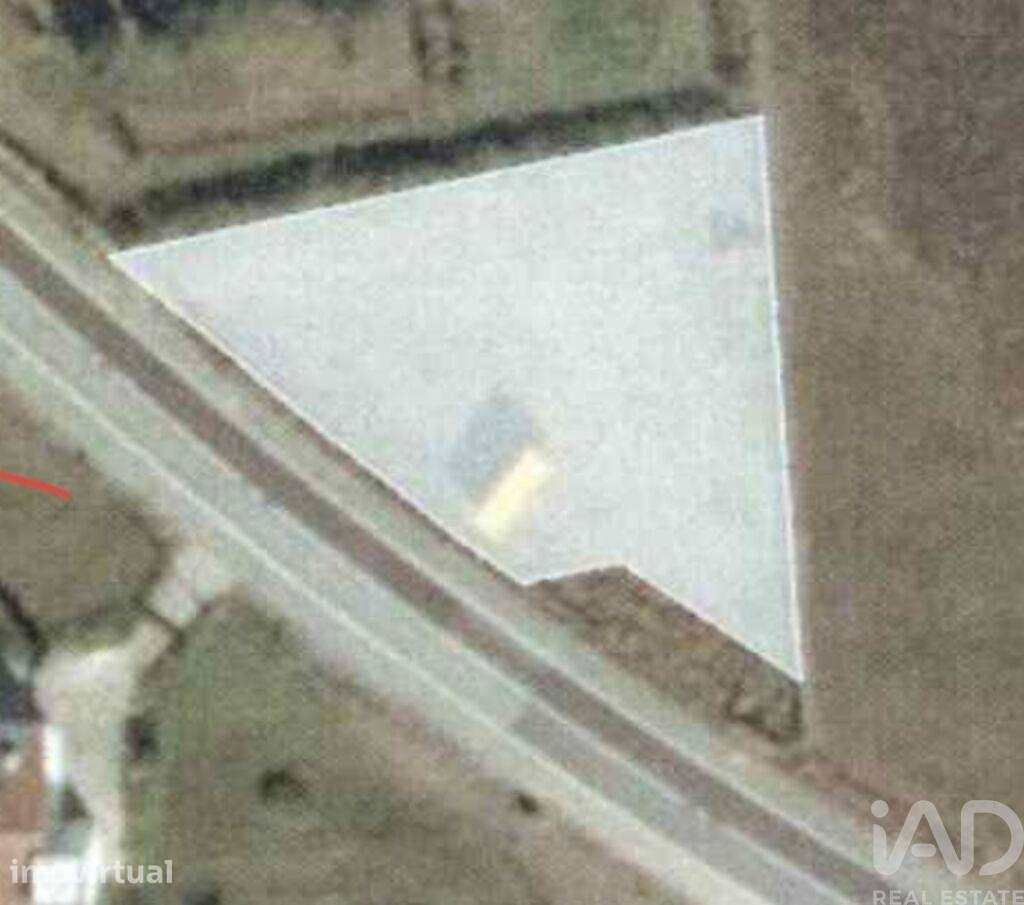 Terreno Agrícola em Verdoejo - Grande imagem: 4/13