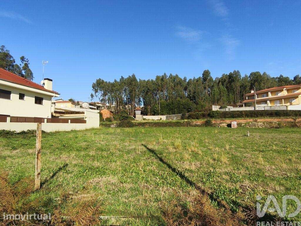 Terreno em Canedo, Vale e Vila Maior de 2893,00 m2 - Grande imagem: 3/17