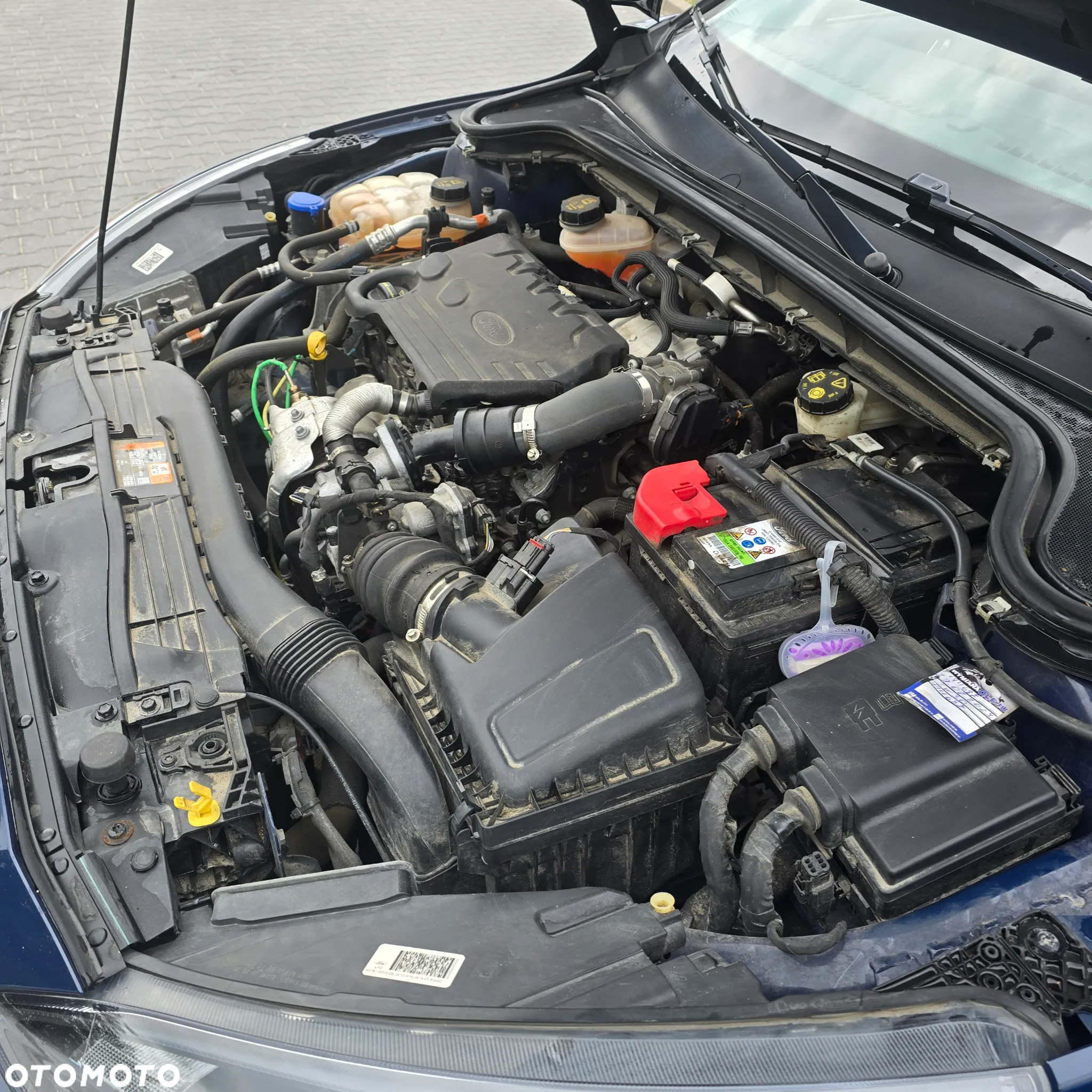 Ford Focus 1.5 EcoBlue Start-Stopp-System ACTIVE - 6