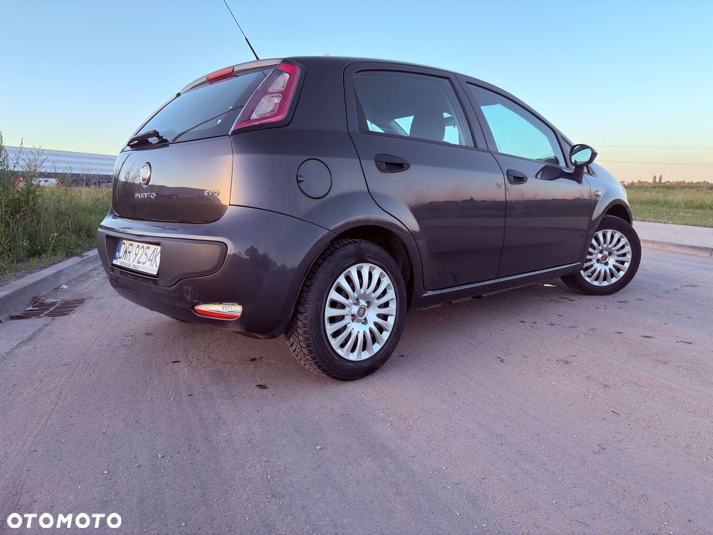Fiat Punto - 5
