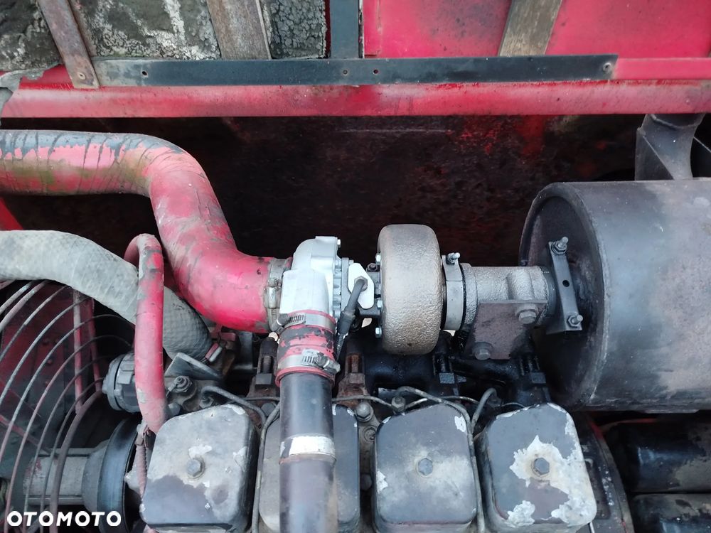 Case 61 błotniak - 13