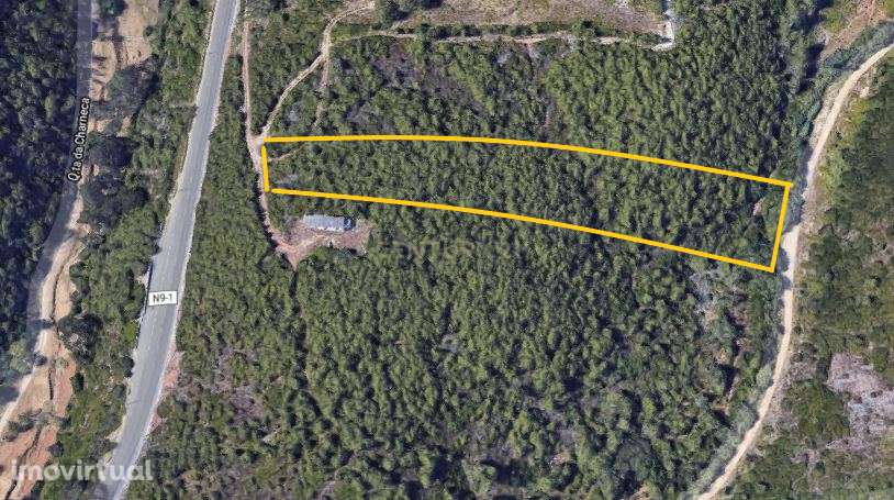 TERRENO - MALVEIRA DA SERRA - Grande imagem: 4/13