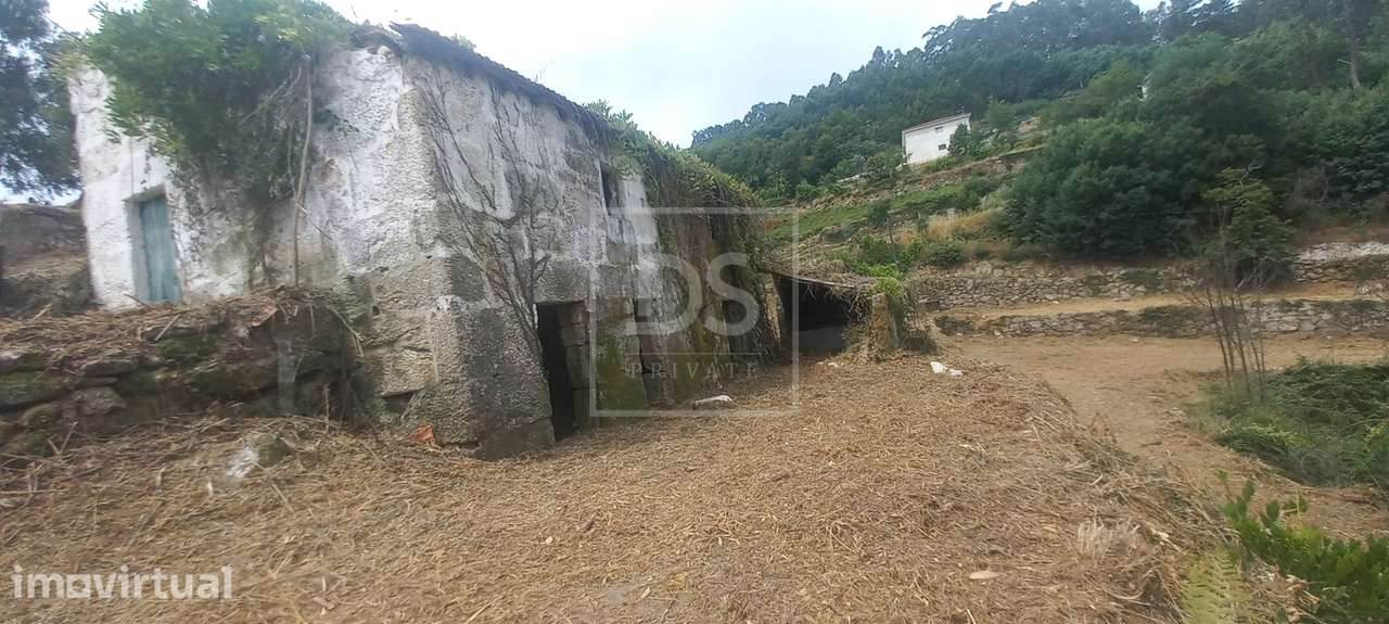 Quinta T3 em Marco de Canaveses - Grande imagem: 2/53
