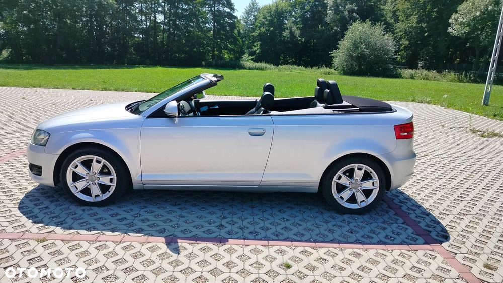 Audi A3 Cabrio 1.6 TDI DPF Ambition - 13