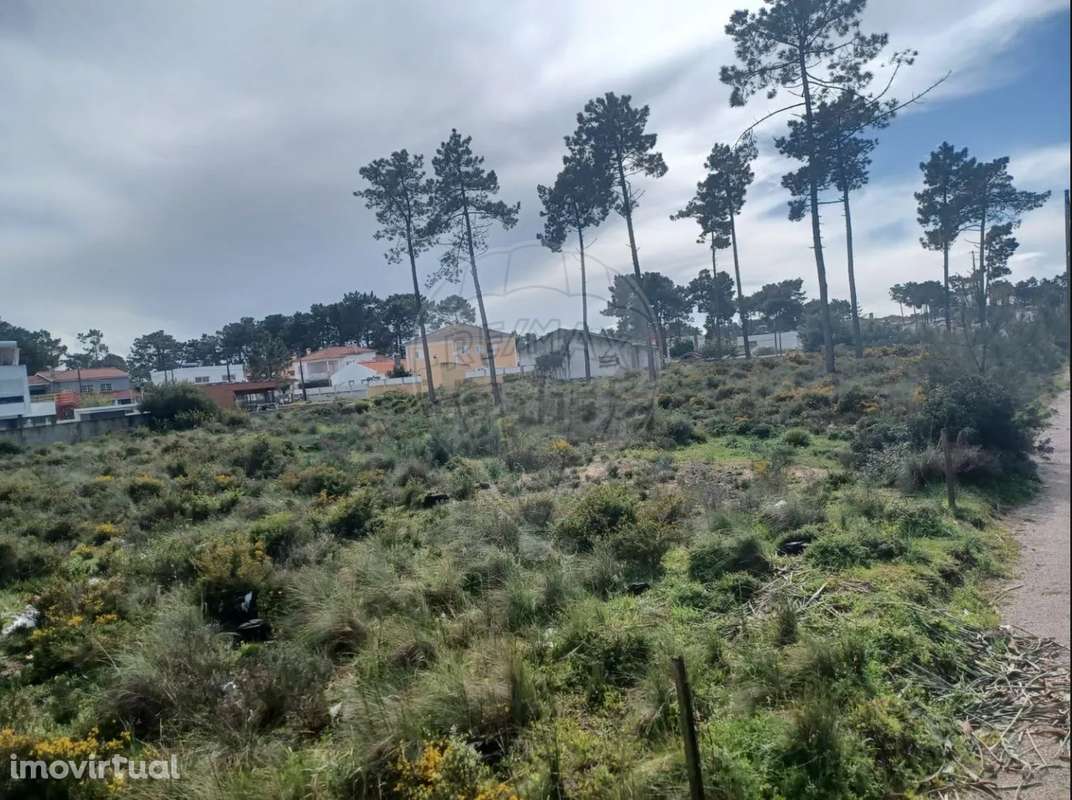 Terreno  para venda - Grande imagem: 2/14