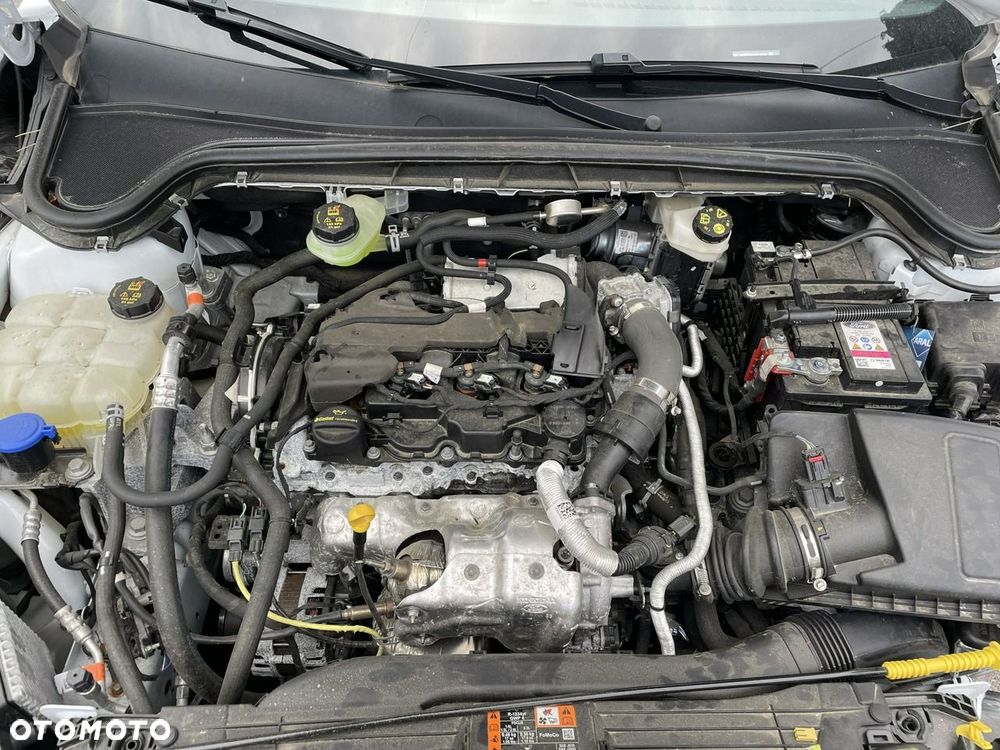 Ford Focus 1.5 EcoBlue STart-Stopp-System TITANIUM - 11