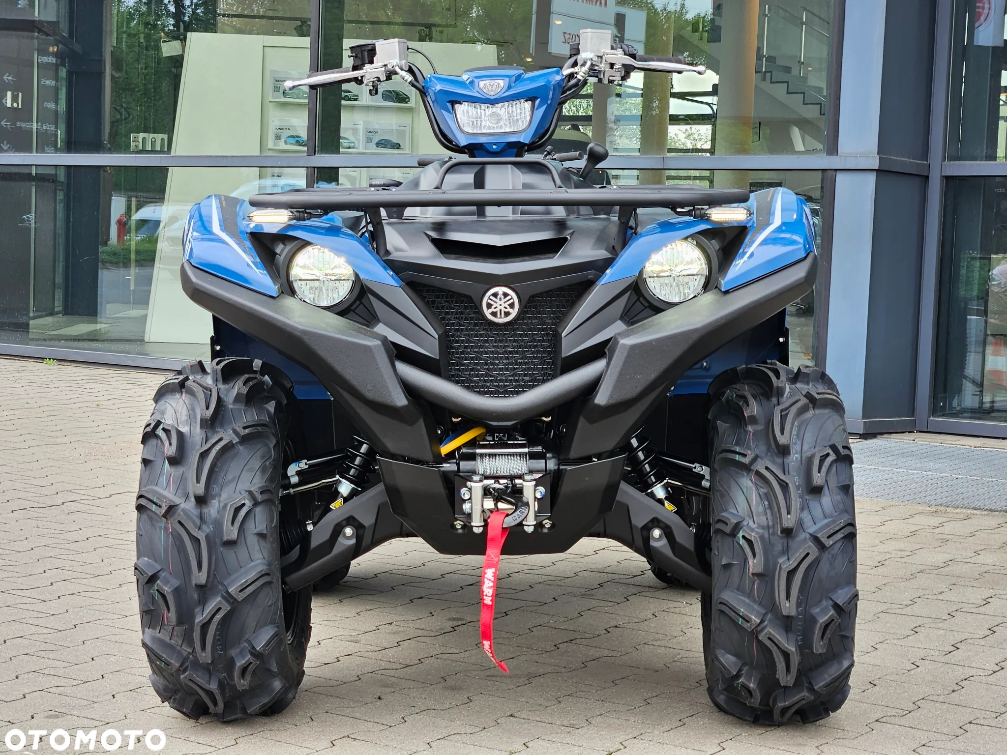 Yamaha Grizzly - 12