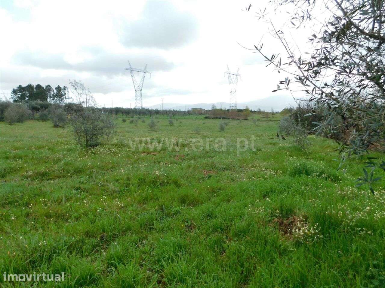 Terreno / Seia, Sameice e Santa Eulália - Grande imagem: 3/17