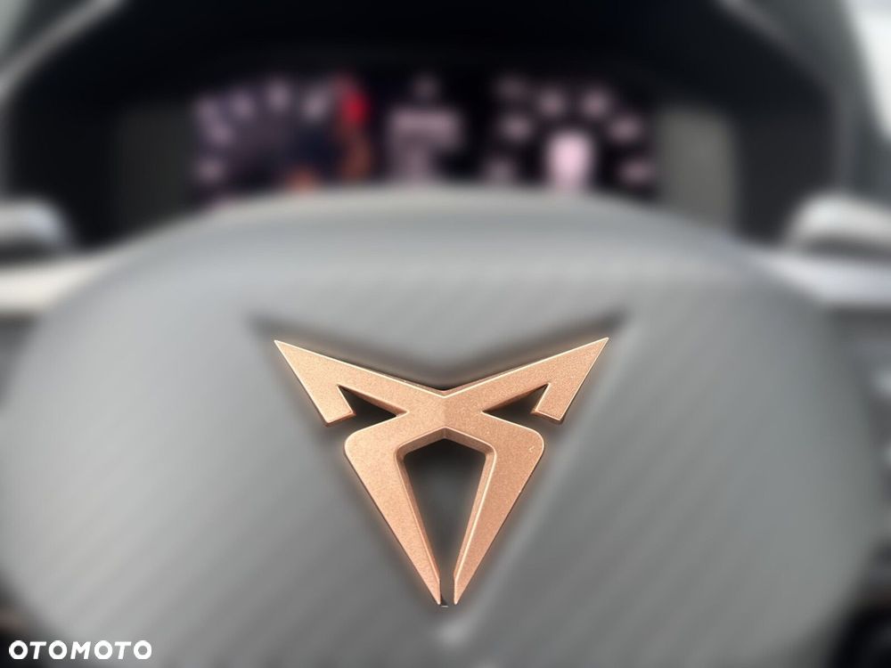 Cupra Formentor 2.5 TSI 4Drive VZ5 DSG - 24