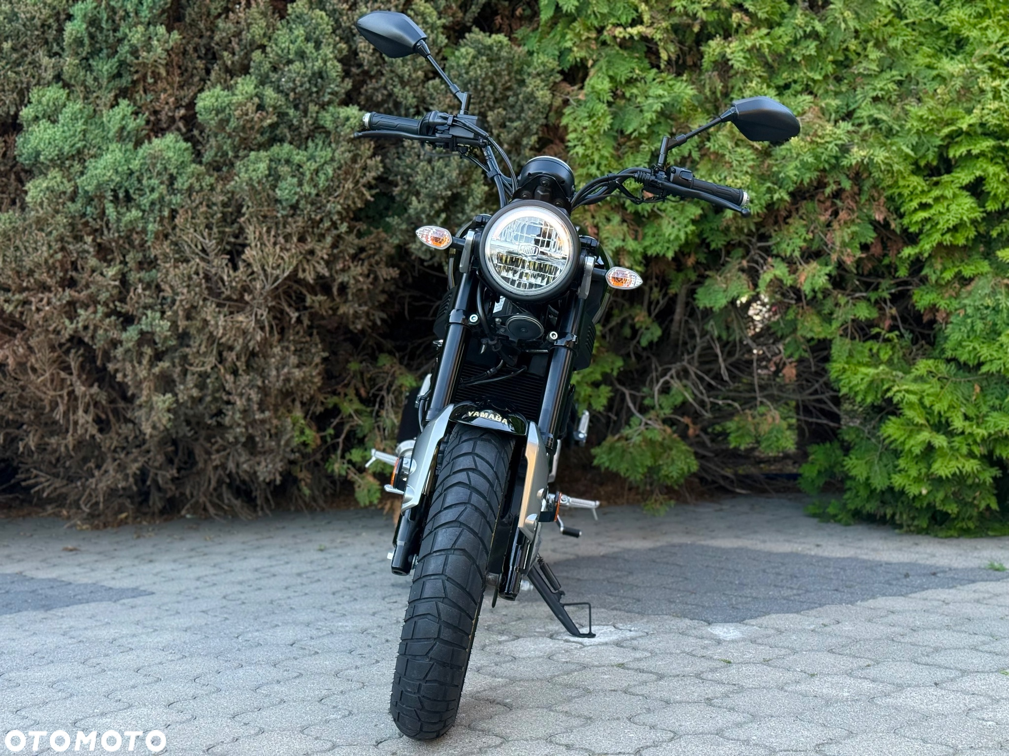 Yamaha XSR - 8