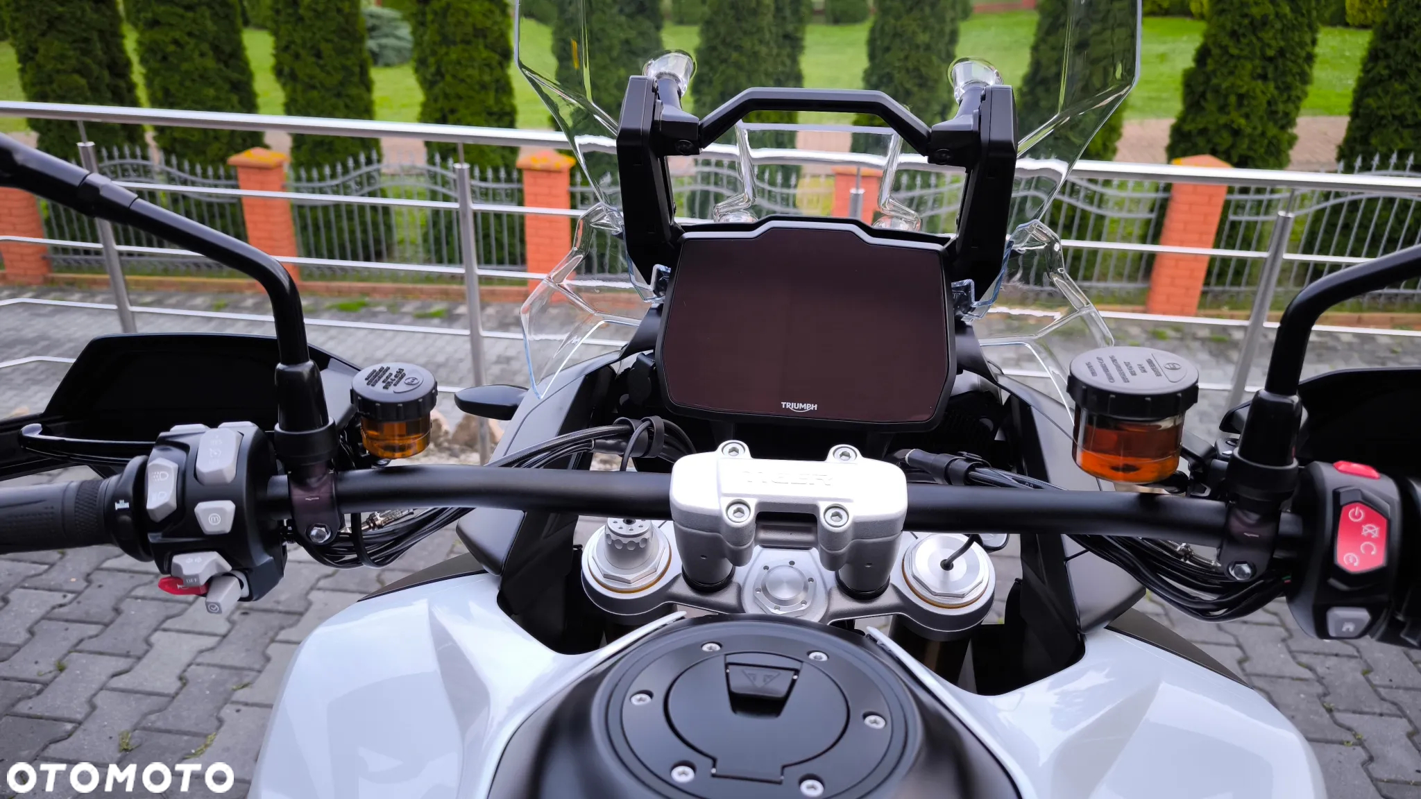 Triumph Tiger - 9