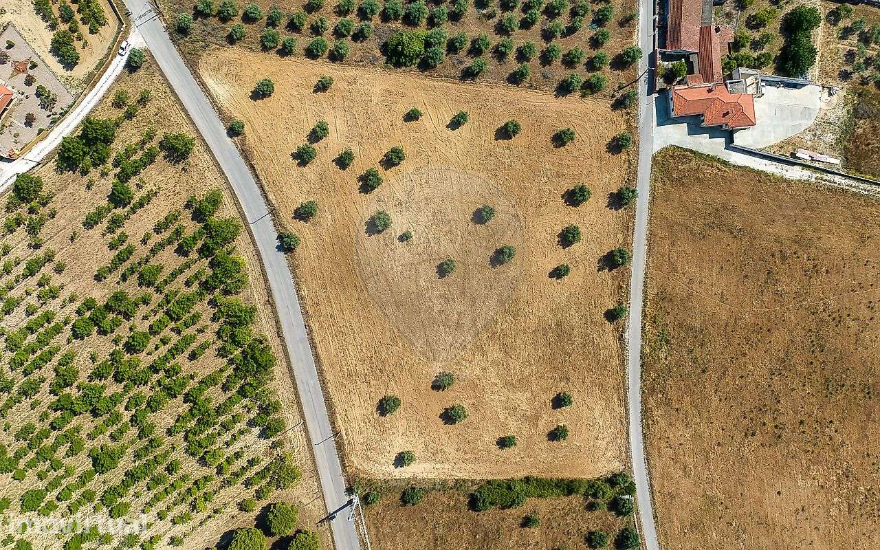 Terreno  para venda - Grande imagem: 3/20