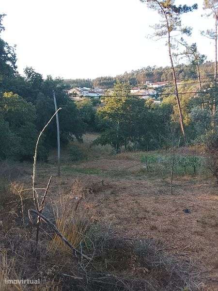 Terreno  Figueira de Lorvao - Grande imagem: 4/4
