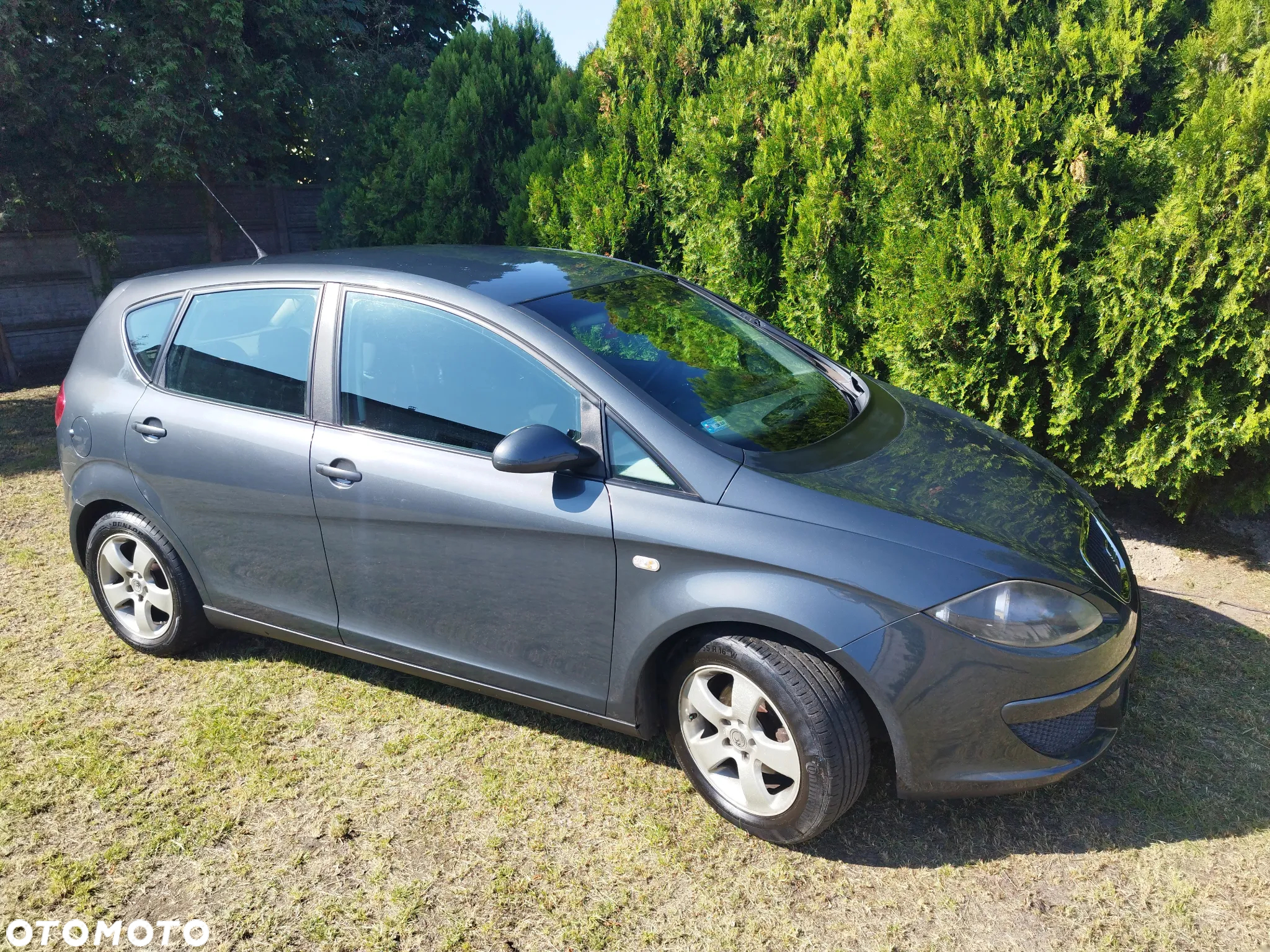 Seat Altea - 2