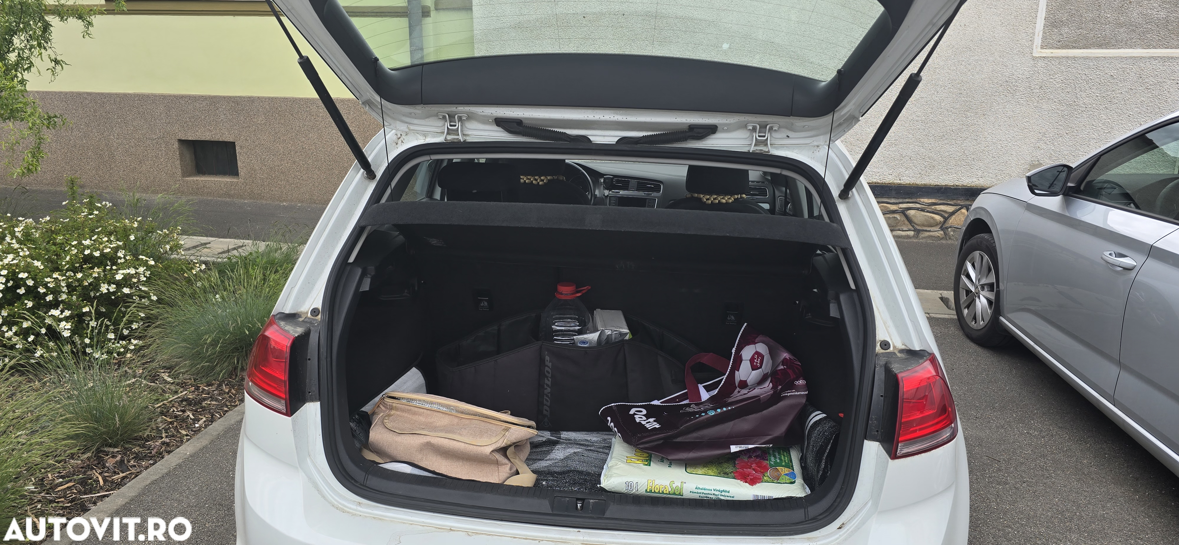 Volkswagen Golf - 8