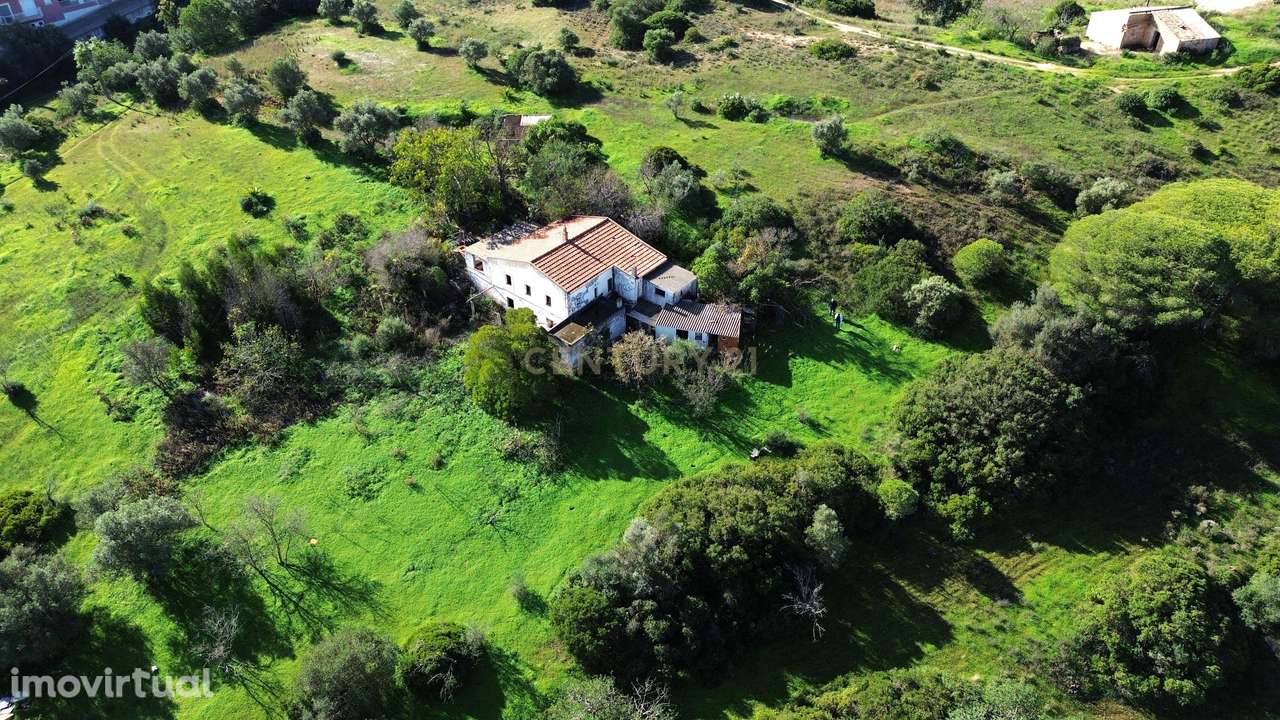 Terreno de 16.970 m2, com artigo urbano e grande potencial de expansão - Grande imagem: 3/13