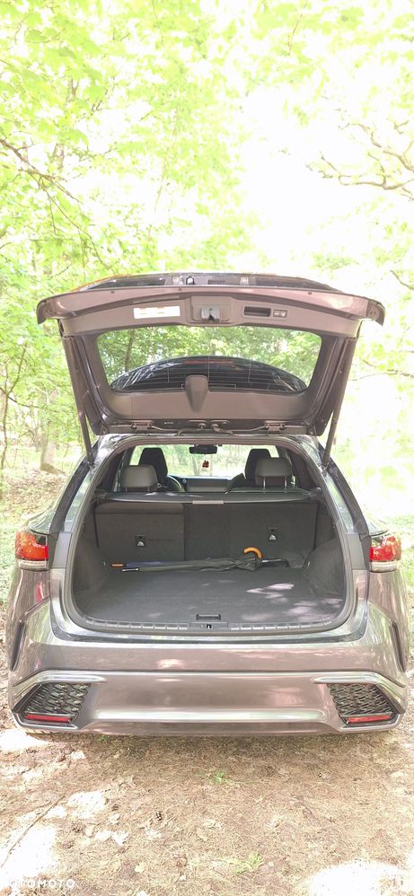 Lexus RX - 6