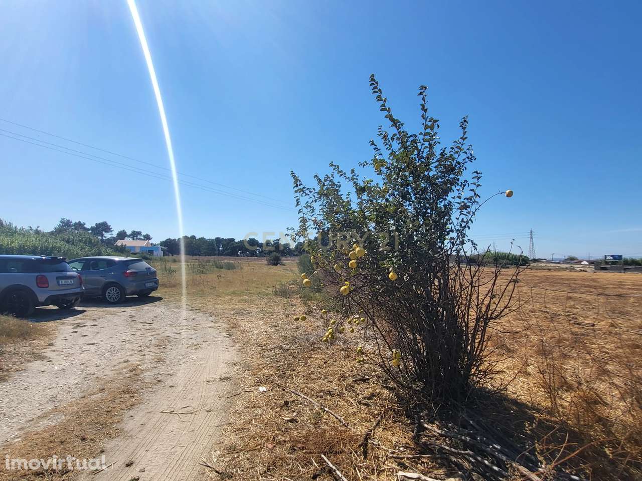 Terreno Rústico - viabilidade construção - Centro Santo António da Cha - Grande imagem: 5/6