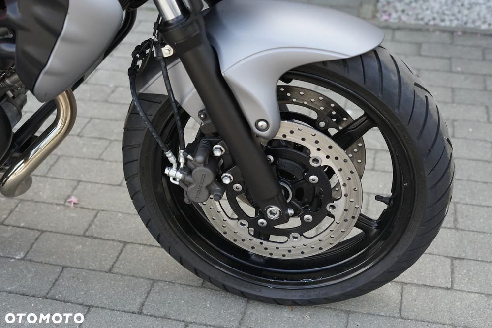 Suzuki Gladius - 15
