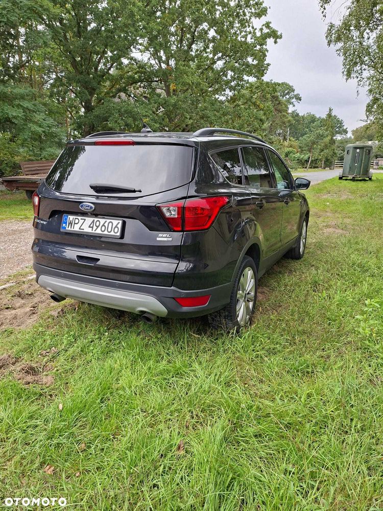 Ford Escape - 4