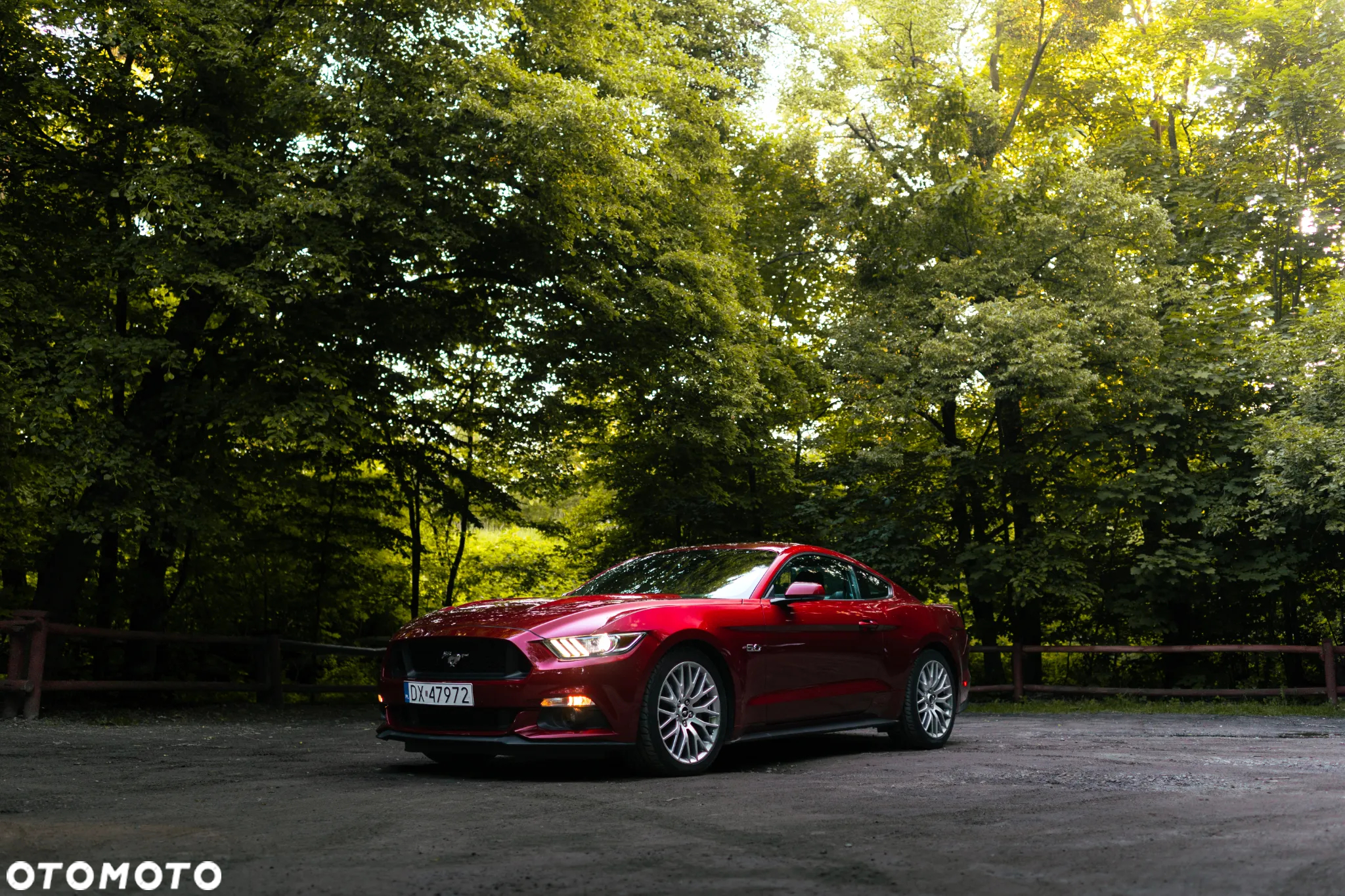 Ford Mustang 5.0 V8 GT - 3
