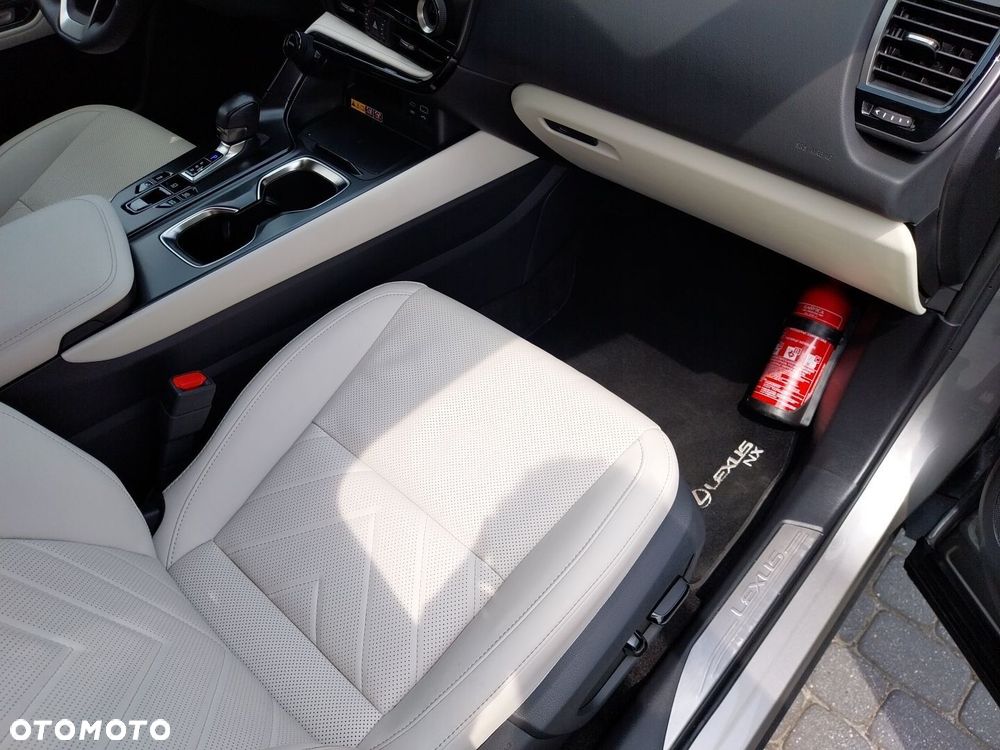 Lexus NX - 10