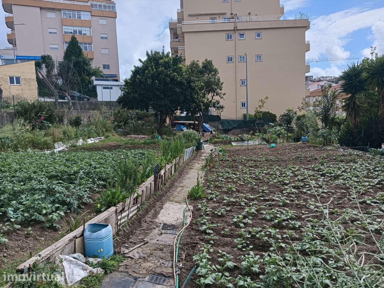 Terreno Para Construção  Venda em Oliveira de Azeméis, Santiago de Rib - Grande imagem: 5/5