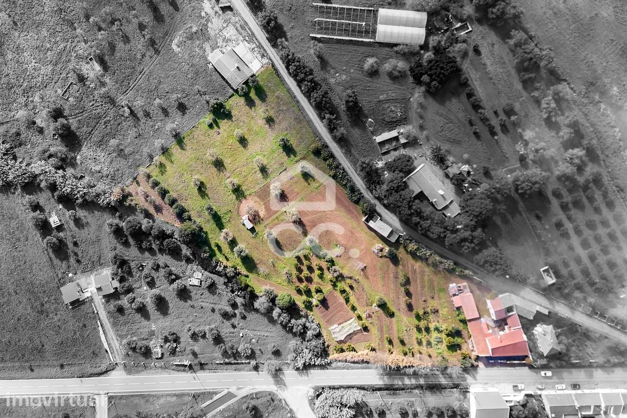 Quinta de 9750 m2 com duas moradias e  Anexos | Torrão - Grande imagem: 3/60