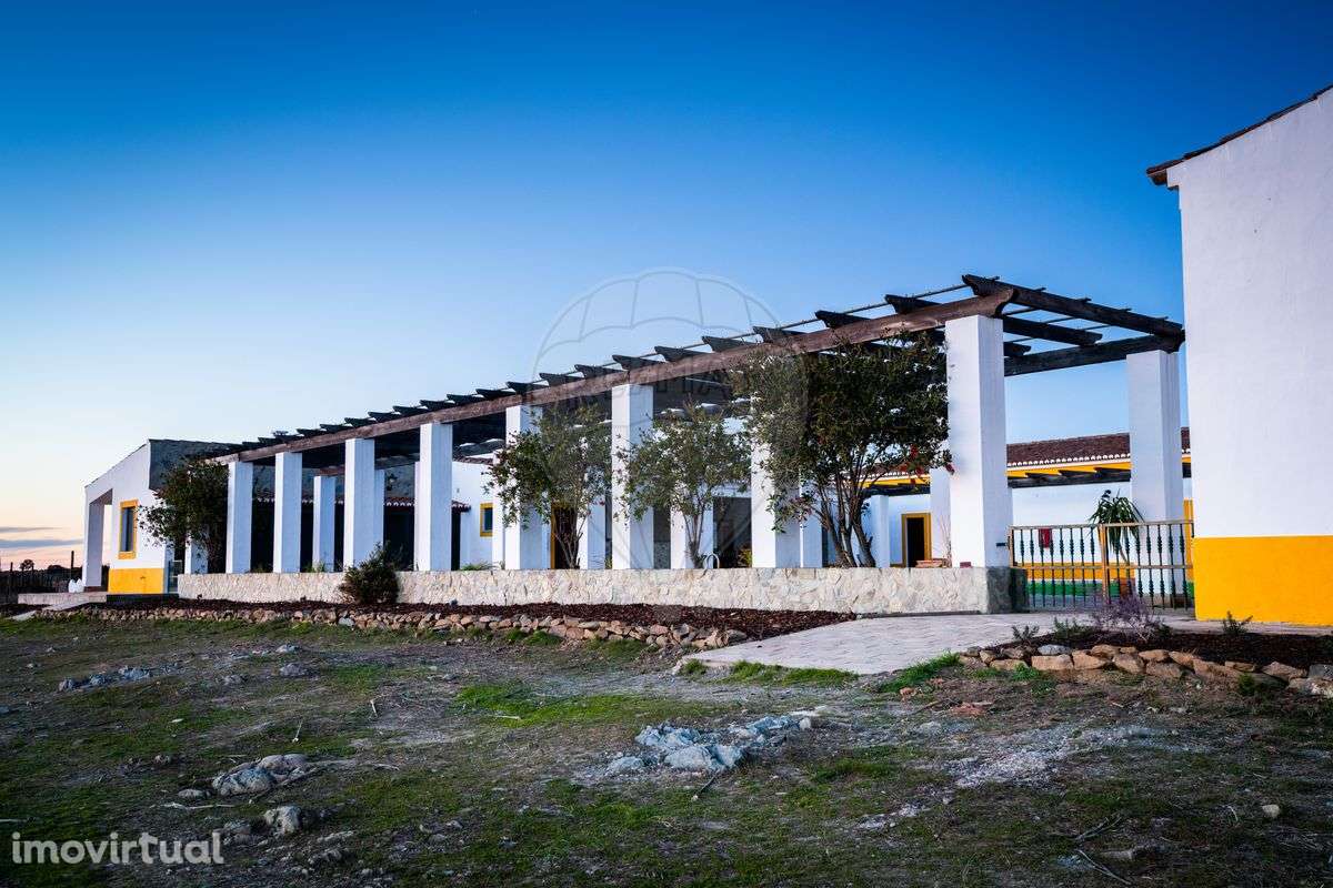 Quinta T11 para venda - Grande imagem: 4/41