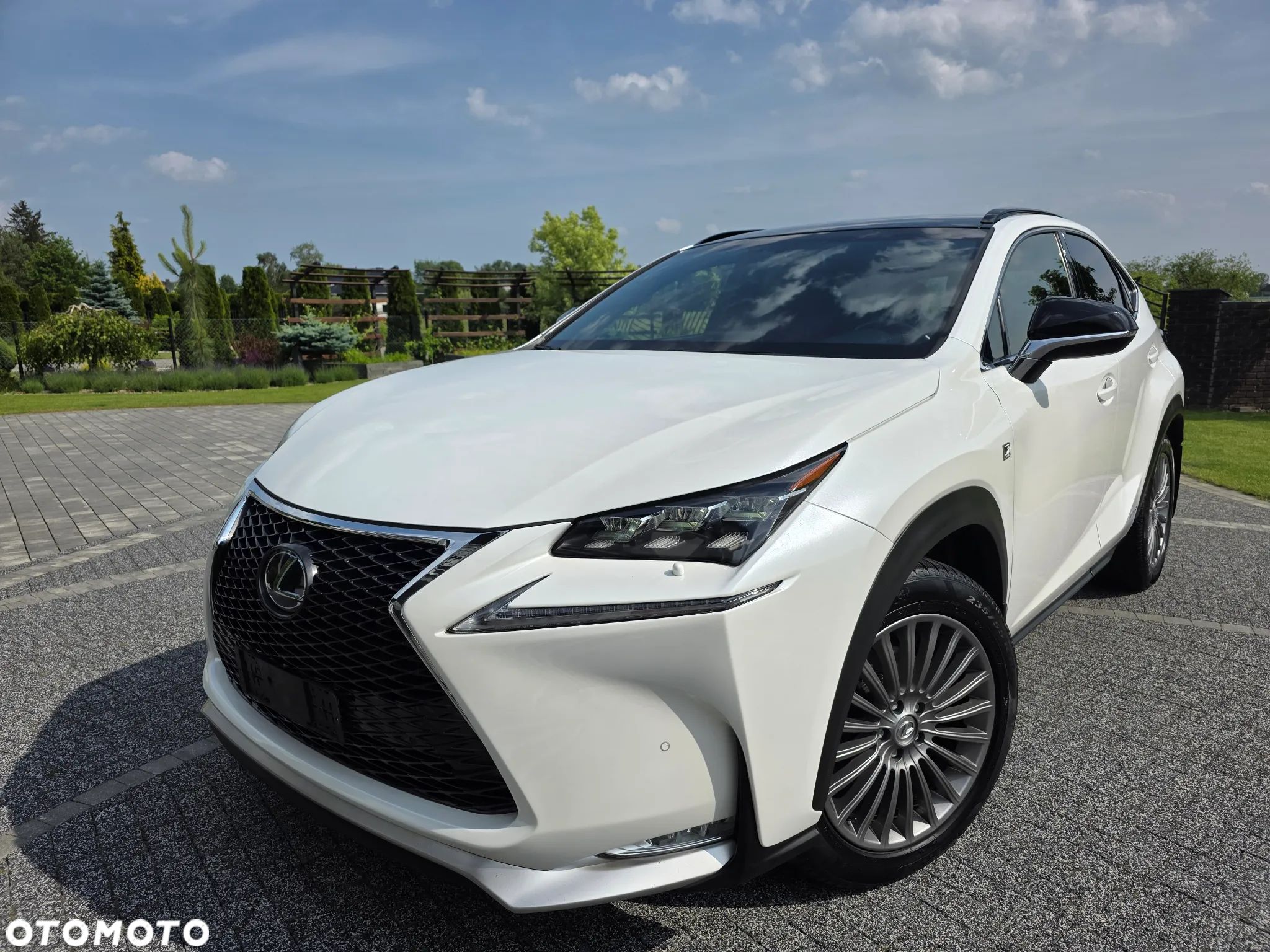 Lexus NX 300h E-FOUR F SPORT - 1