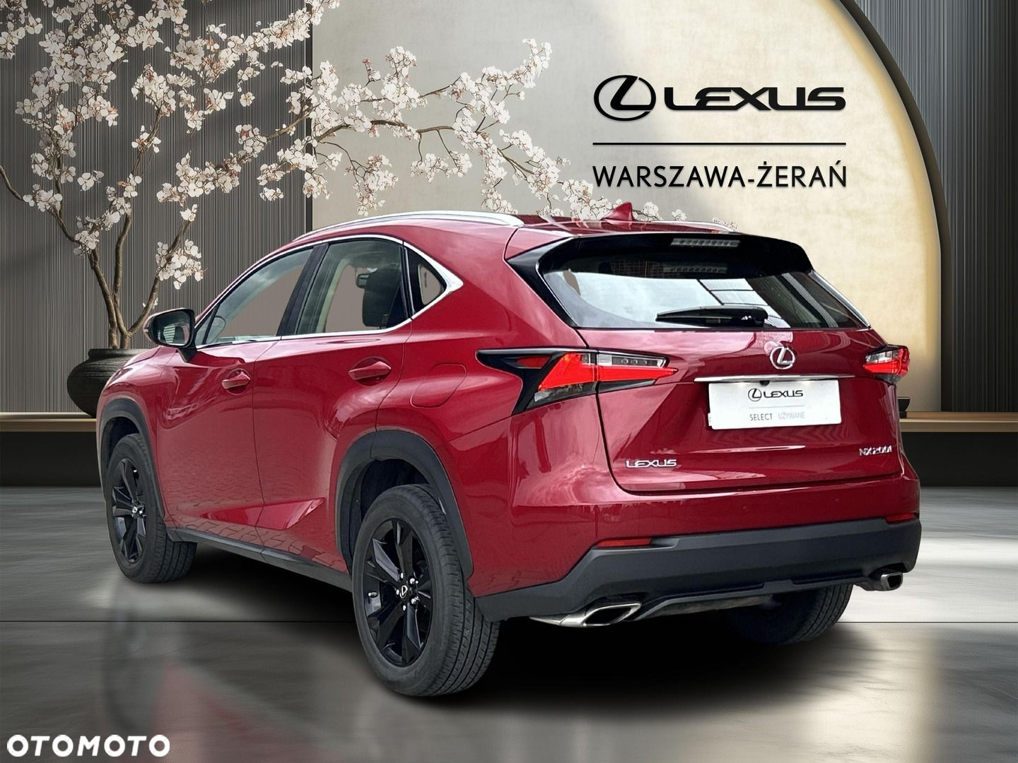Lexus NX 200t Elite AWD - 5
