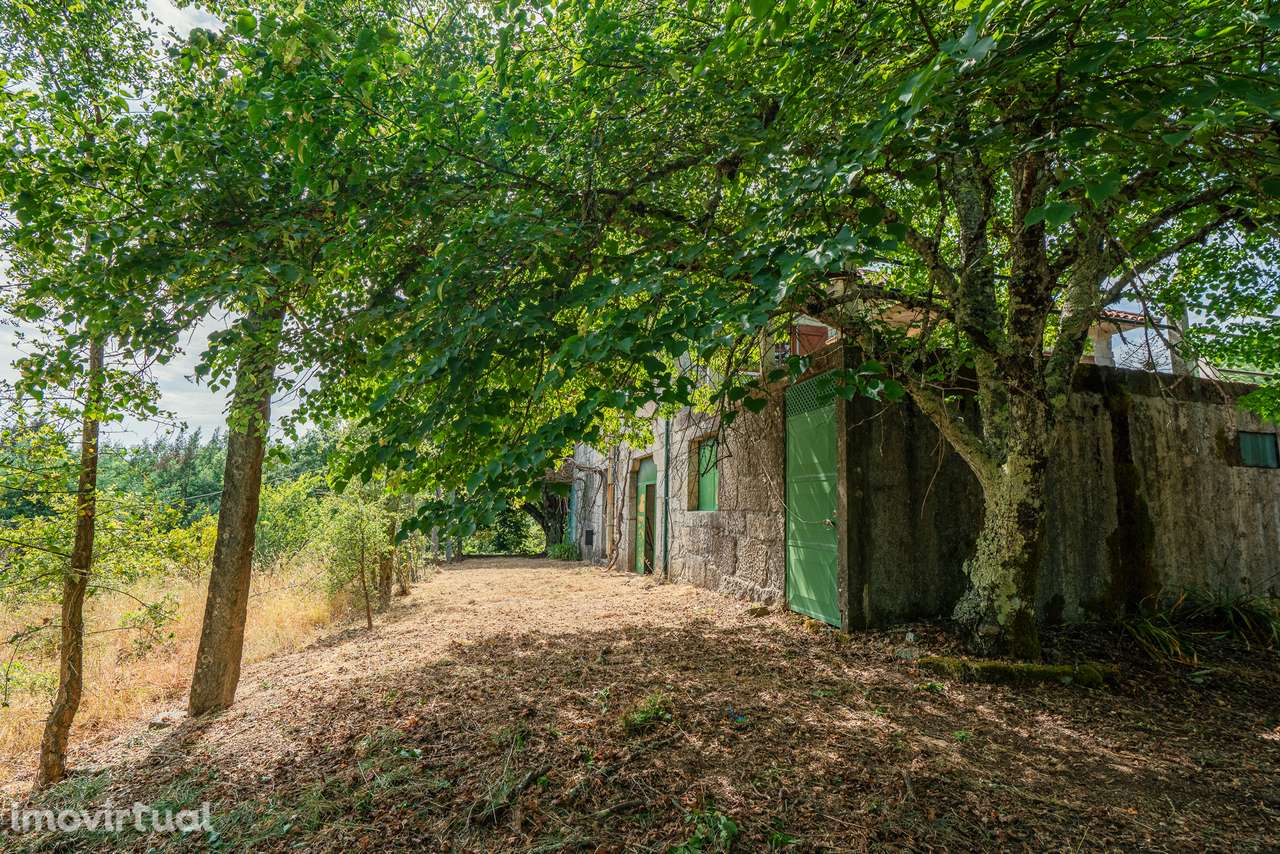 Quinta com 5,5 ha e Projecto Aprovado p/Hotel Rural 4 Estrelas - Viseu - Grande imagem: 5/21