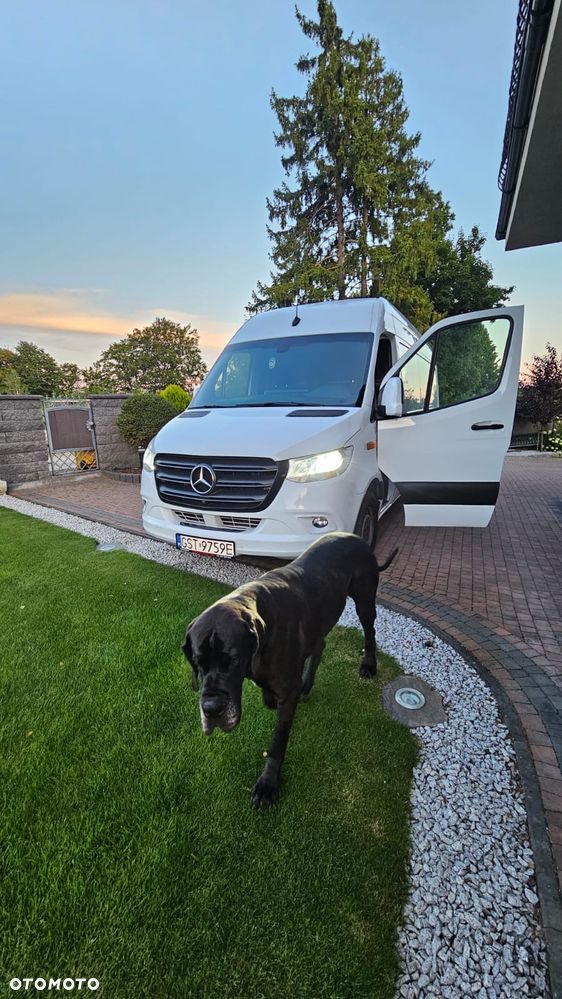Mercedes-Benz Sprinter 316 - 8